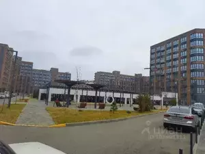 Фото к объявлению #20811139