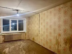 Фото к объявлению #22287297