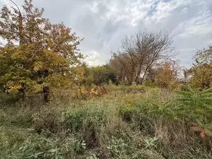 Фото к объявлению #22199547