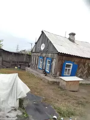 Фото к объявлению #21077418