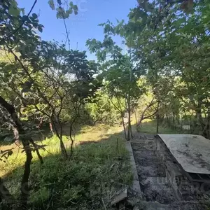 Фото к объявлению #22186965