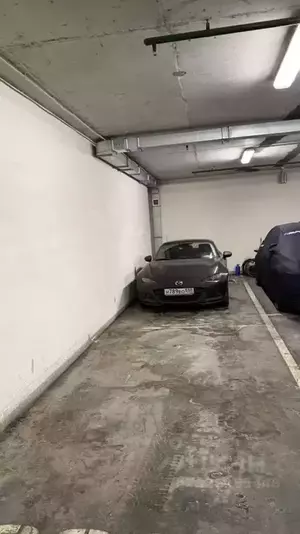 Фото к объявлению #22287435