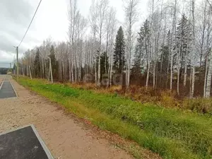 Фото к объявлению #22288124