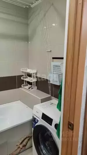 Фото к объявлению #21288489