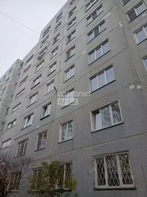 Фото к объявлению #21264456