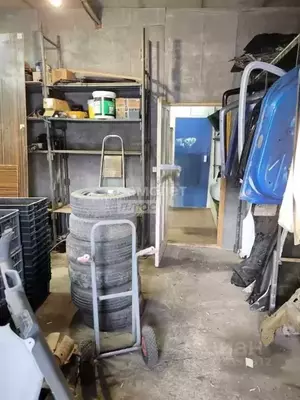 Фото к объявлению #22259216