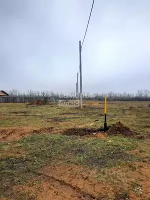 Фото к объявлению #22173148