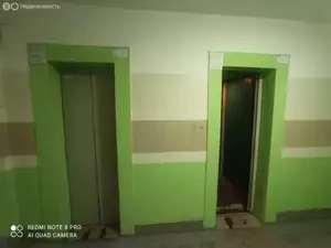 Фото к объявлению #20852726