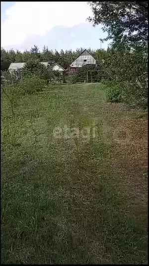 Фото к объявлению #20405855