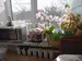 Фото к объявлению #