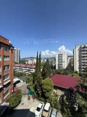 Фото к объявлению #22128931