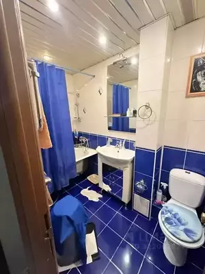 Фото к объявлению #22168735