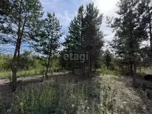 Фото к объявлению #20991404