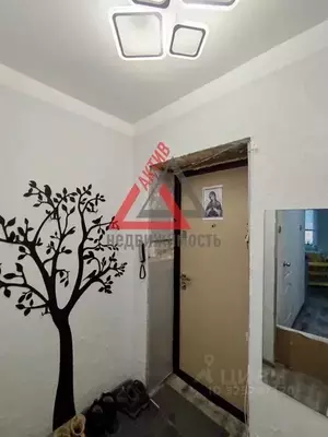 Фото к объявлению #22285699