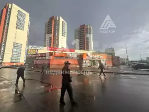 Фото к объявлению #21710086