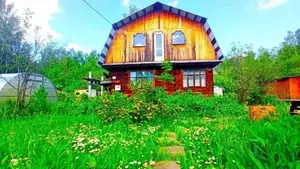 Фото к объявлению #20440006