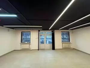 Фото к объявлению #22213172