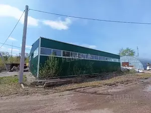Фото к объявлению #22093294