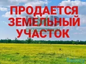 Фото к объявлению #22259388