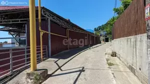 Фото к объявлению #20116921