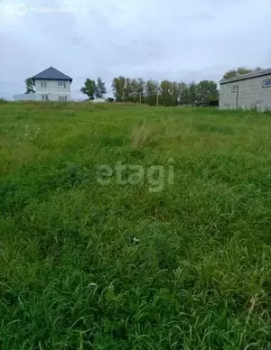 Фото к объявлению #21532754