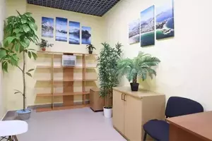 Фото к объявлению #19979427