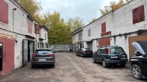 Фото к объявлению #22202572