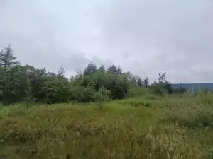 Фото к объявлению #22247229