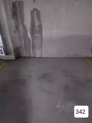 Фото к объявлению #22205997