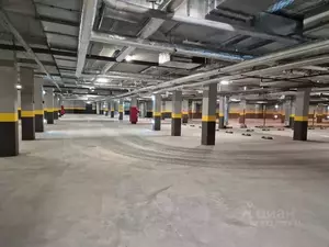 Фото к объявлению #22269212