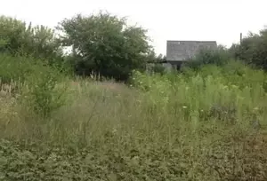 Фото к объявлению #21724842