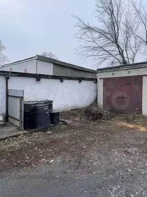 Фото к объявлению #21570048