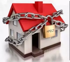 Фото к объявлению #22257775