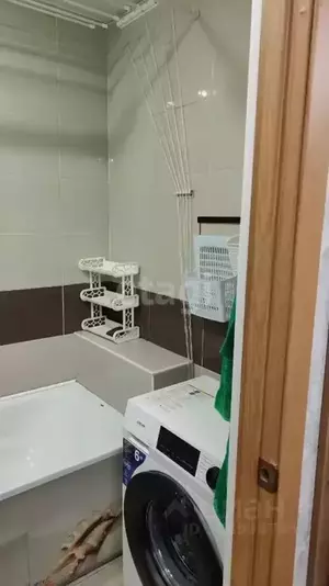 Фото к объявлению #21452096