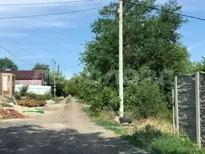 Фото к объявлению #21338544