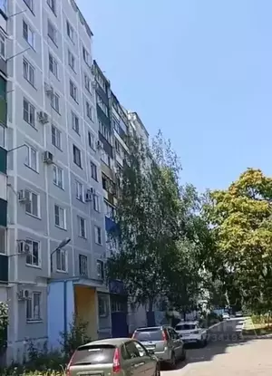 Фото к объявлению #22132303