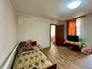 Фото к объявлению #22115454