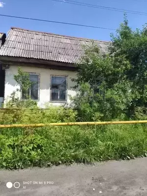 Фото к объявлению #21106635