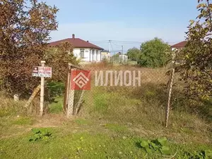 Фото к объявлению #21923101
