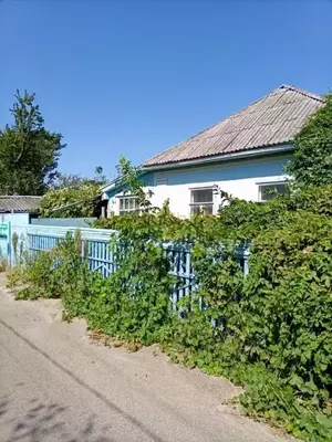 Фото к объявлению #22160386