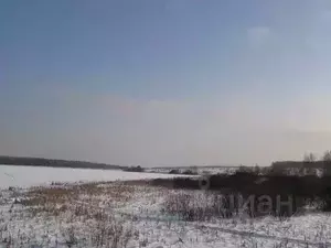 Фото к объявлению #21916977