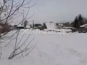 Фото к объявлению #22250833