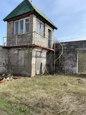 Фото к объявлению #21212938