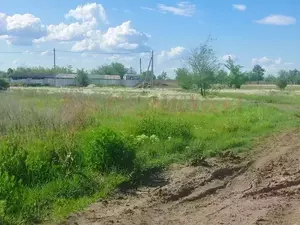 Фото к объявлению #22196098