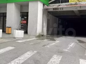 Фото к объявлению #21108044