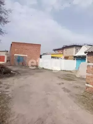 Фото к объявлению #20695717