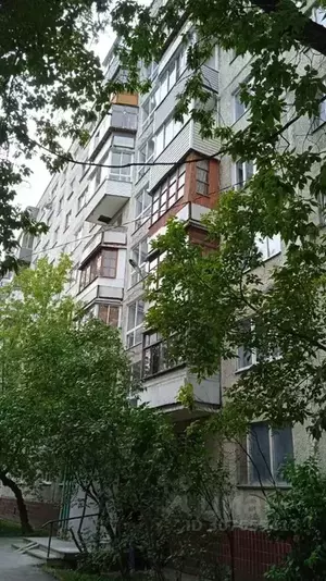 Фото к объявлению #21156259