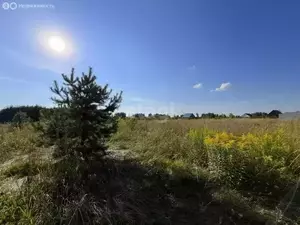 Фото к объявлению #21482203