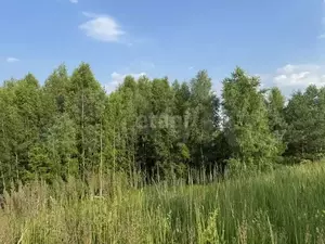 Фото к объявлению #21951942