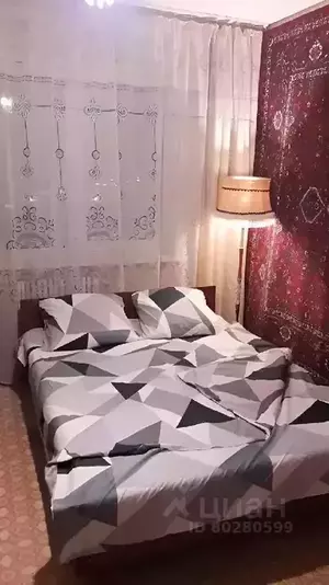 Фото к объявлению #20373743